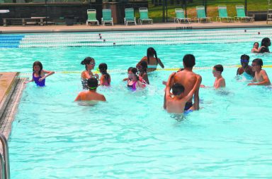 Pool Safety
