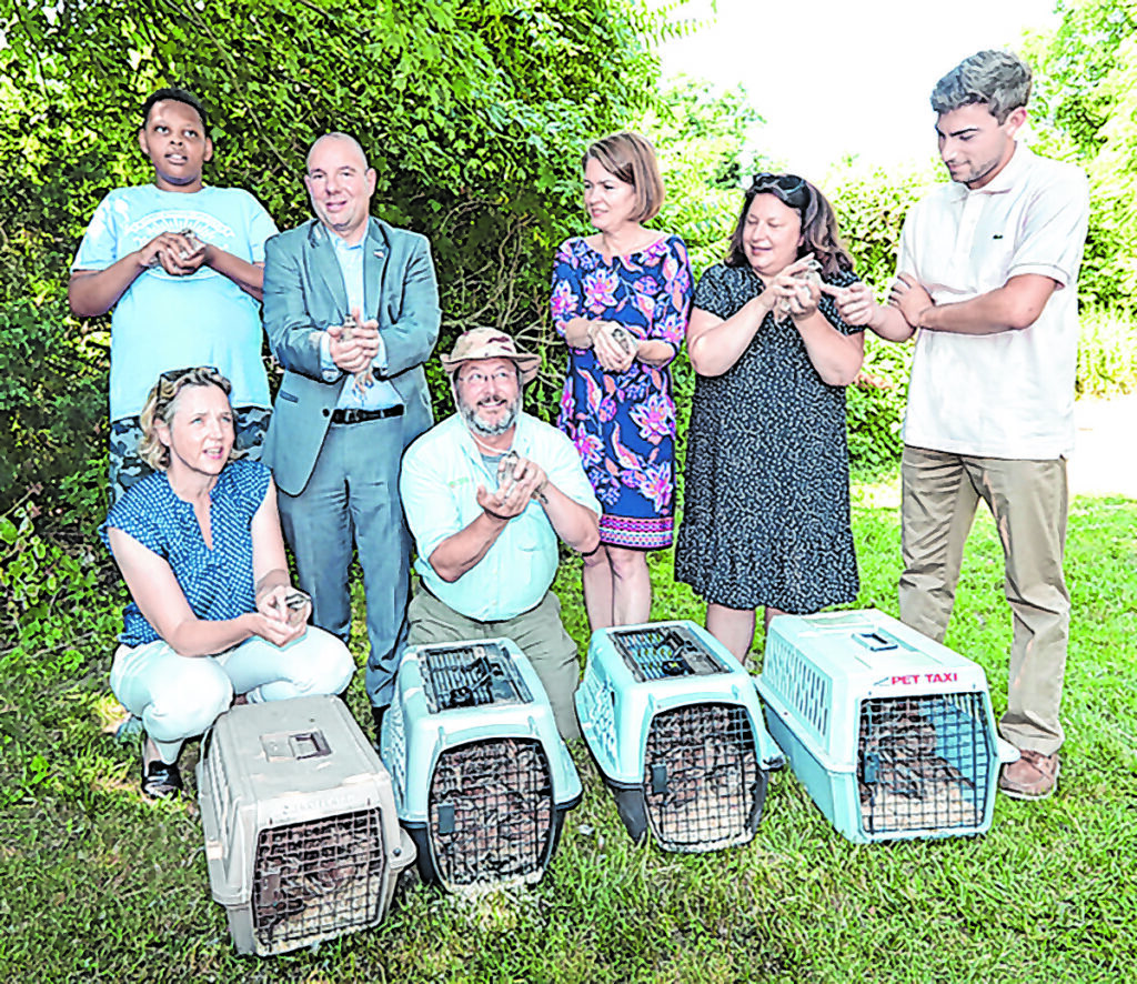 TONH_Quail Release @ NH Beach Park