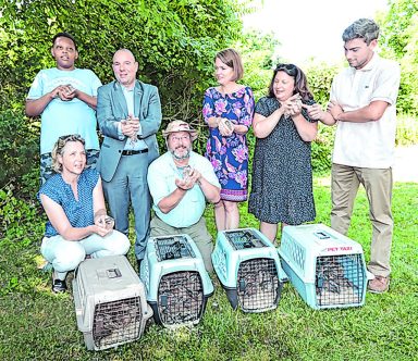 TONH_Quail Release @ NH Beach Park