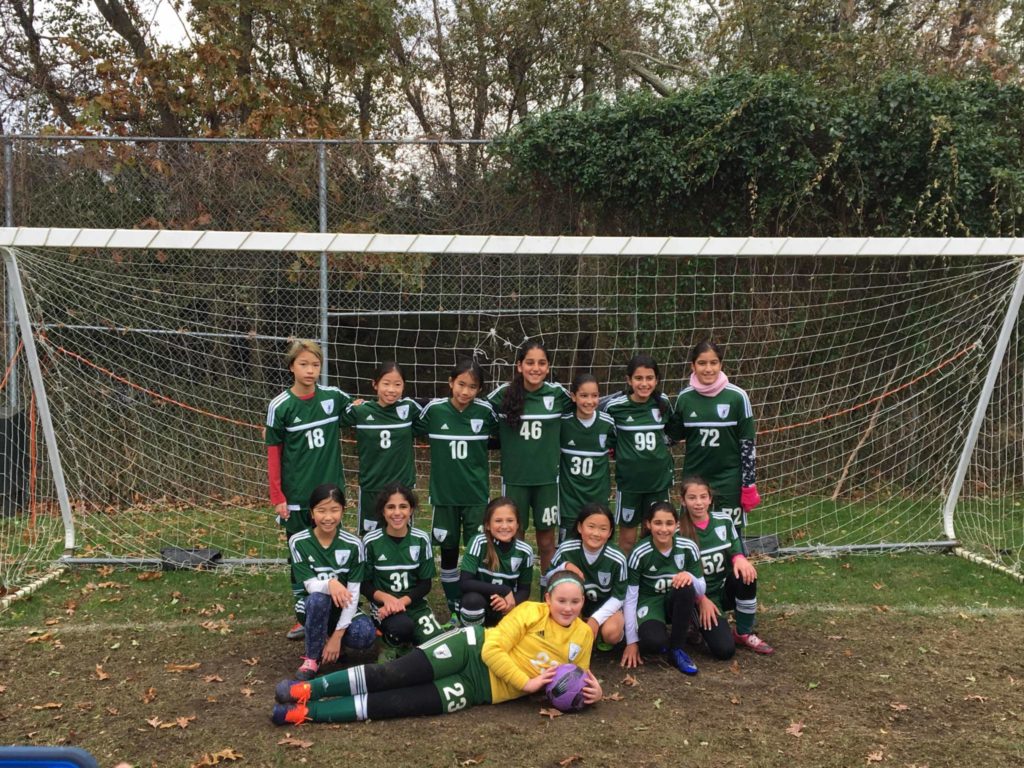 SportsDragonfliesSoccerA