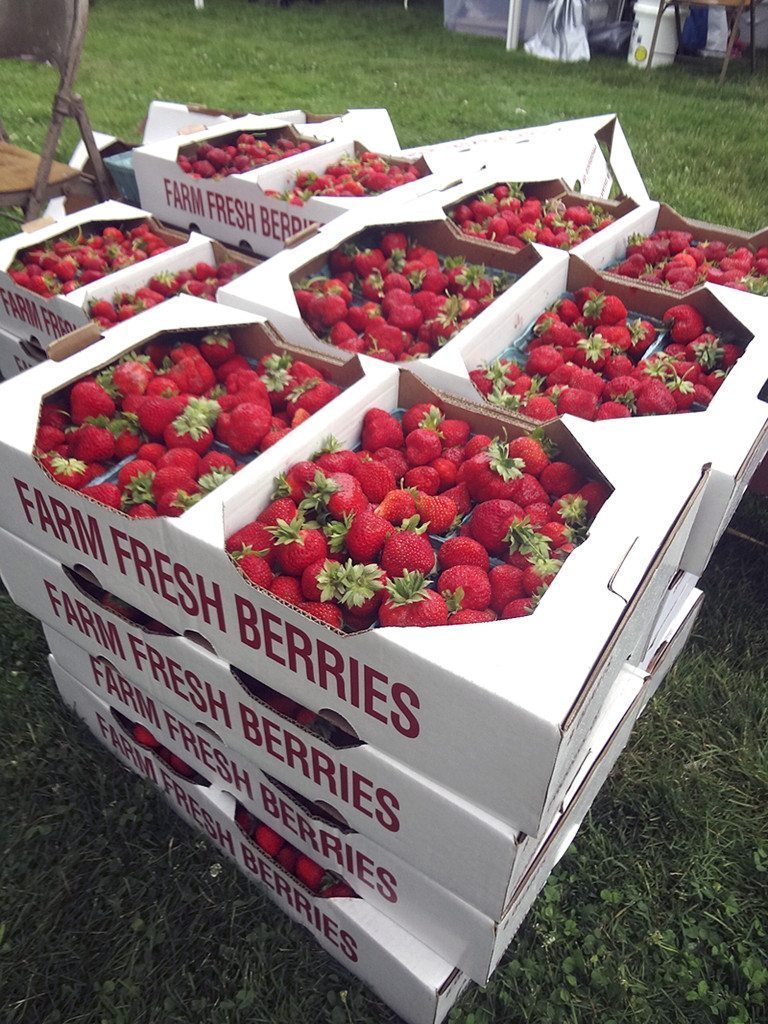 StrawberryFestival_070115B