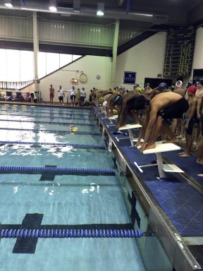 Swimming_081716A
