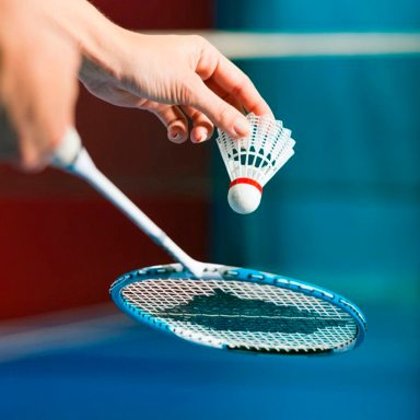 TOBBadminton_120215A
