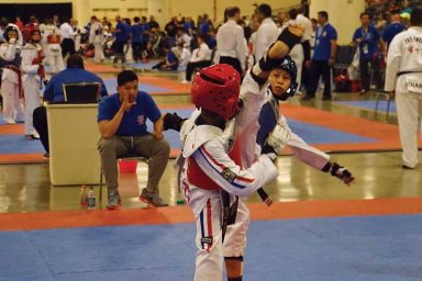 TaekwondoC RyanAxKick
