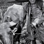 The Chinese Farmer WEB