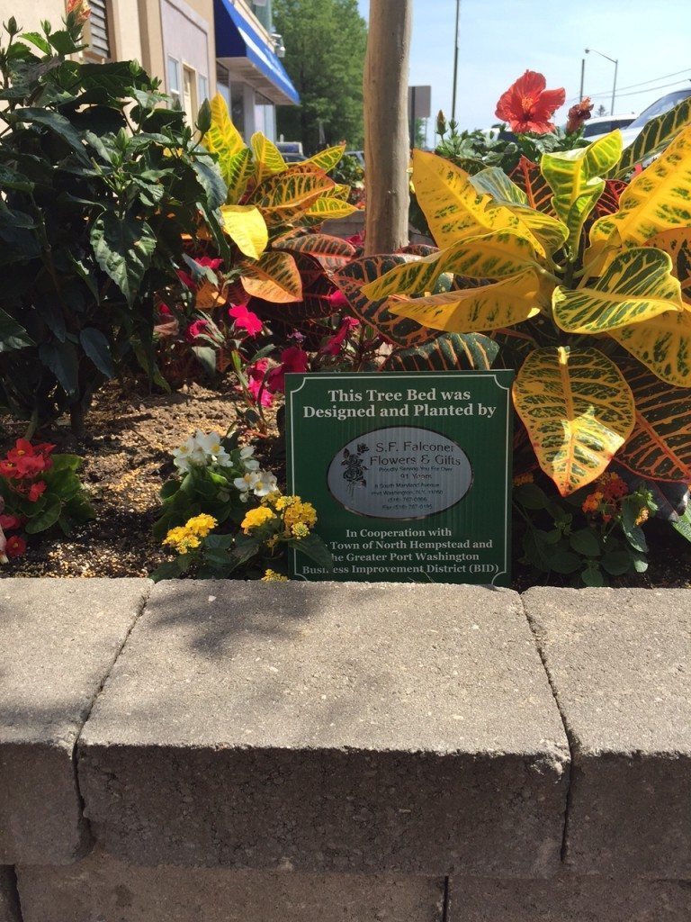 Tree Beds – LIRR Station – 2016#3