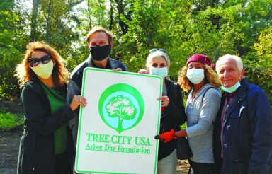 Tree City