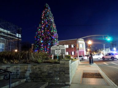 TreeLighting121115A