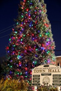 TreeLighting_120915A