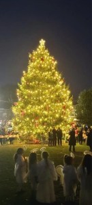 TreeLighting C
