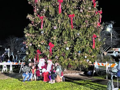 TreeLighting_D