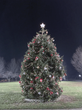 Treelighting120915A