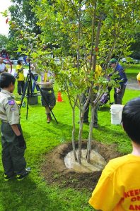 Troop10TreePlanting_102815.B
