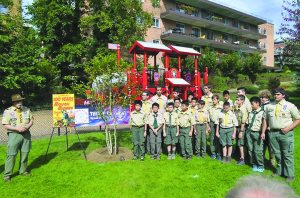 Troop10TreePlanting_102815.C