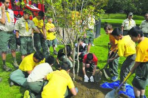 Troop10TreePlanting_102815.D