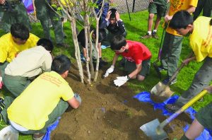 Troop10TreePlanting_102815.F