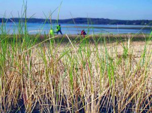Groups are working to figure out the effect of nitrogen runoff on Oyster Bay waterways. (Photo Source: Facebook)