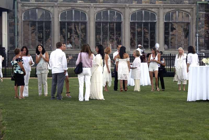 In the rose garden