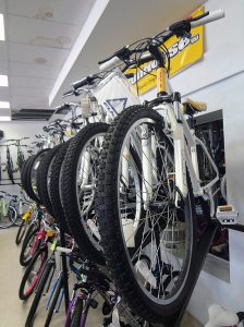 WilliamsCycle_081215C 2
