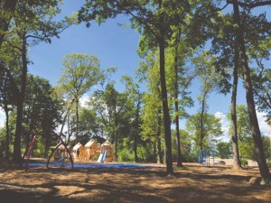 Woodland playground