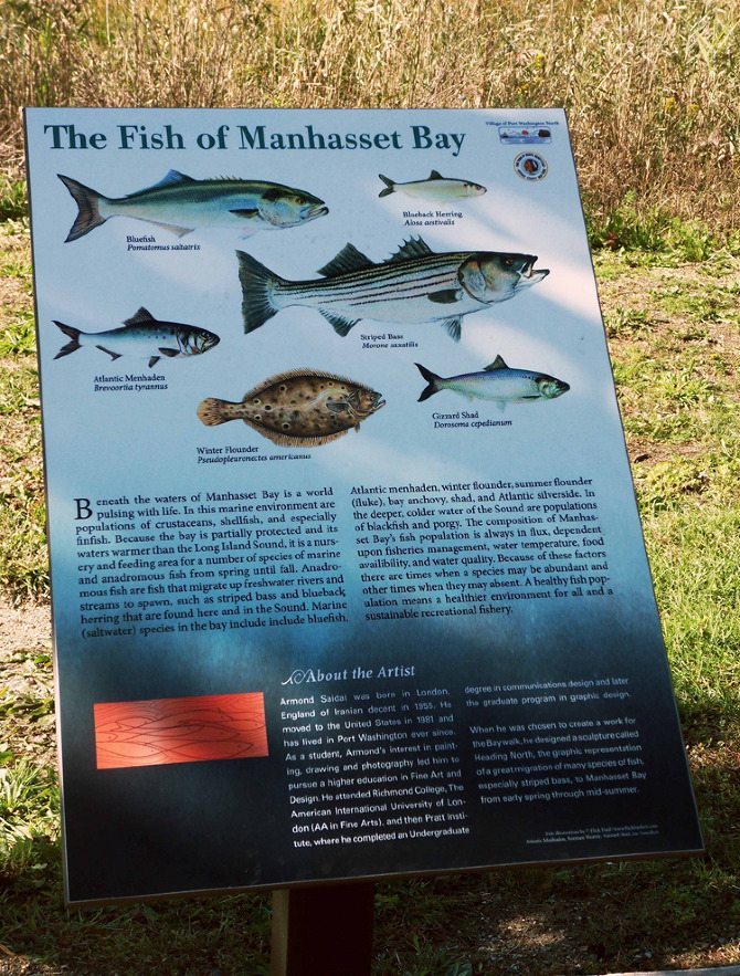 SAMSUNG DIGITAL CAMERA