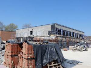 budhai to leave web c