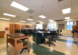 budhai to leave web d