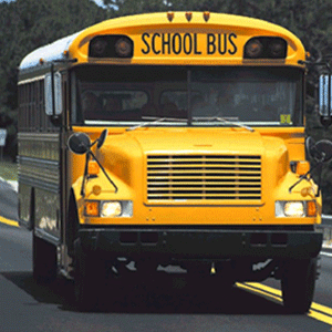 bus