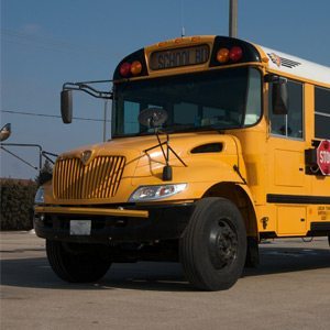 bus