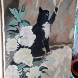 cat
