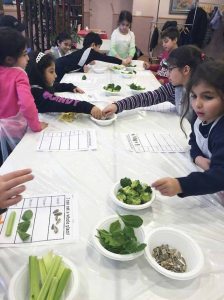Creating vegetable charts