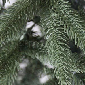 christmastrees