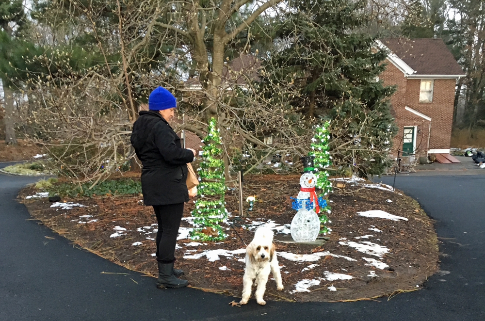 http://mineolaamerican.com/wp-content/uploads/2018/03/clark-gardens-dog.jpg