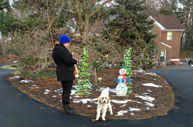 http://mineolaamerican.com/wp-content/uploads/2018/03/clark-gardens-dog.jpg