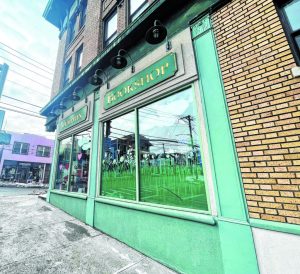 dolphinbooks a 1024x938 1