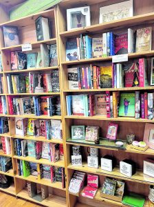 dolphinbooks c 768x1024 2