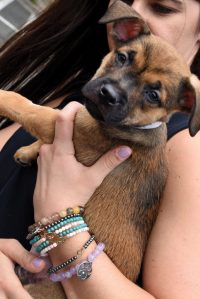 dsc 7798 catherine sando 683x1024 1