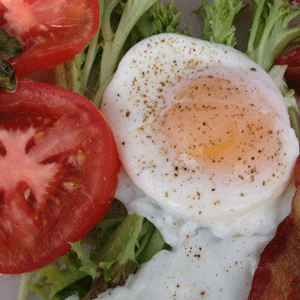 egg