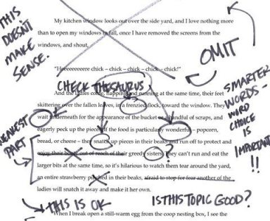 essay