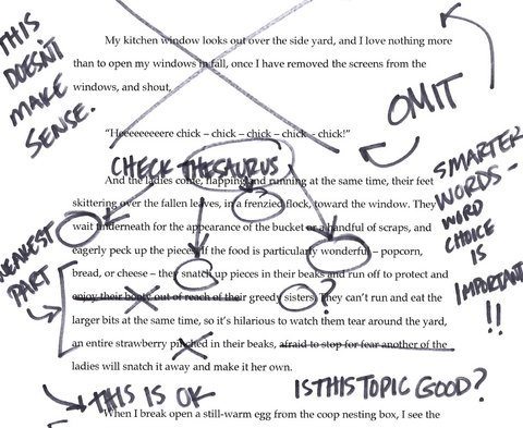 essay