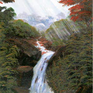falls-web