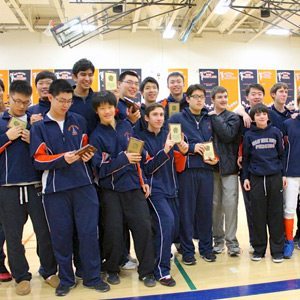 fencing
