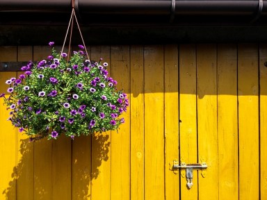 flowers-1652615_640