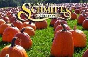 fw schmitts