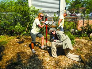 manorhavenplant 072617b 1024x768 1