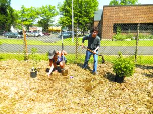 manorhavenplant 072617d 1024x768 1
