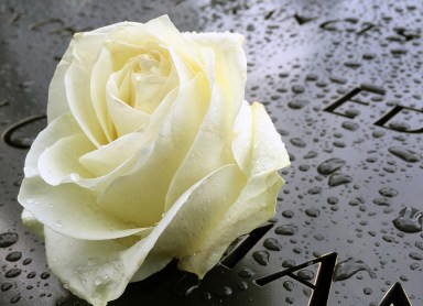 memorial-1659857_1280