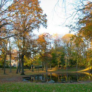 fall