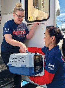 northshore a 768x1024 1