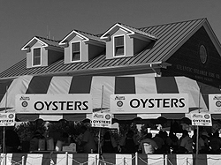 The centerpiece of the food court was the Rotary raw oyster booth, a must stop for all festival goers. Photo by Pat Aitken. oysterbay 2011 10 of 125 oysters